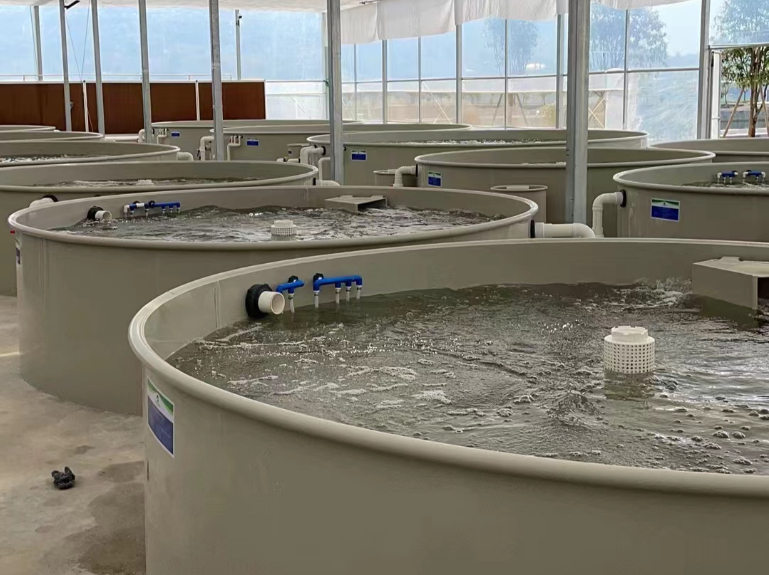 传统水产养殖与循环水养殖优缺点介绍(图1)